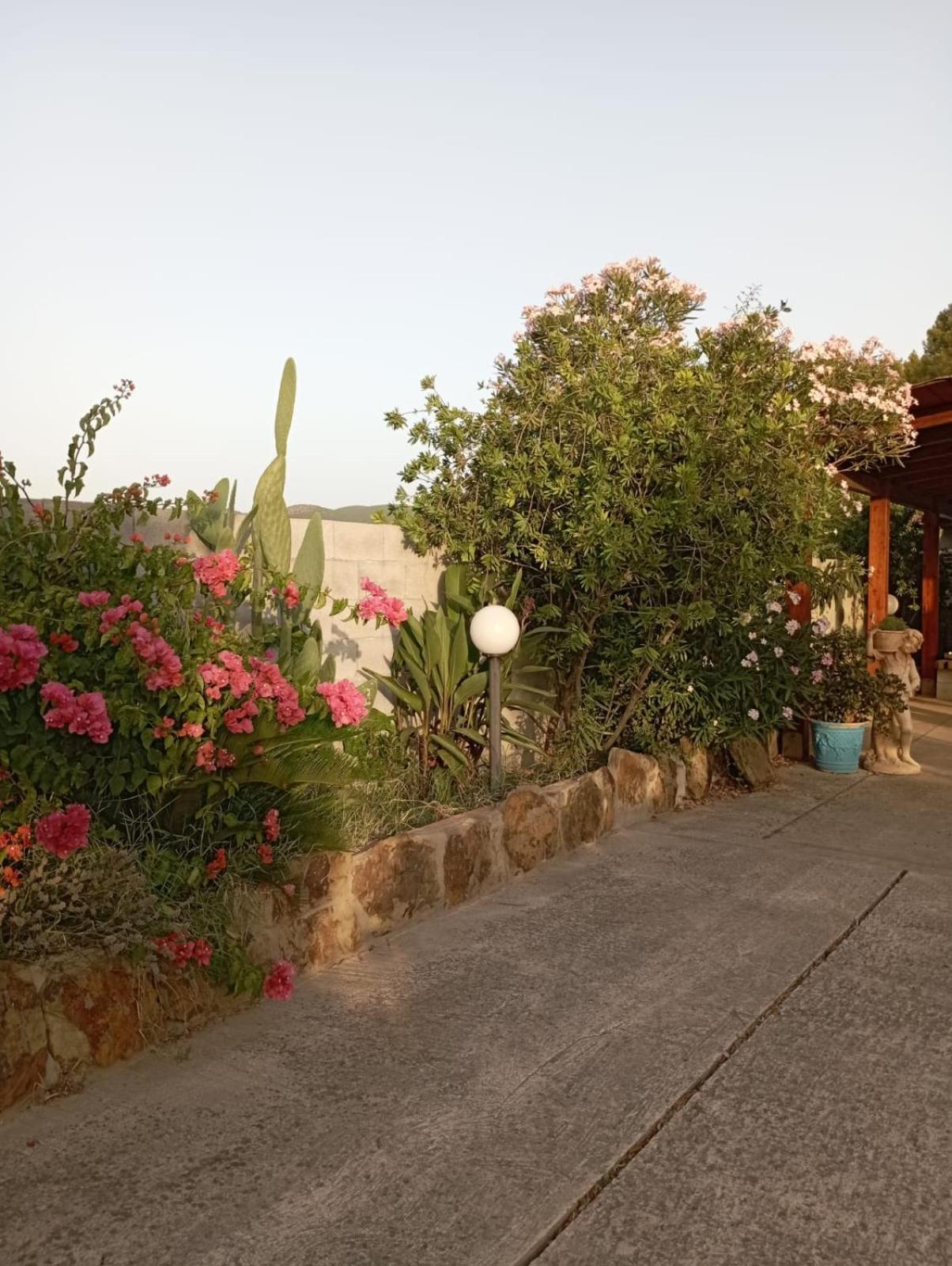 Villa Oleandro Iglesias Exterior foto