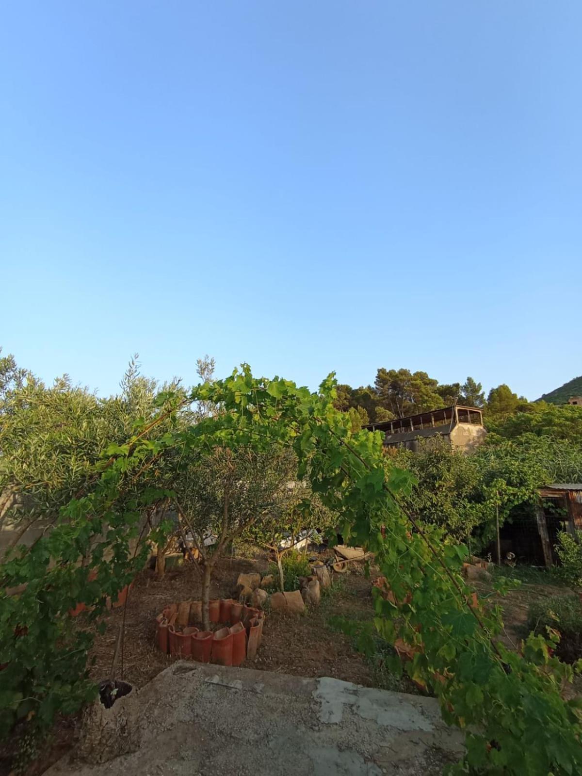 Villa Oleandro Iglesias Exterior foto